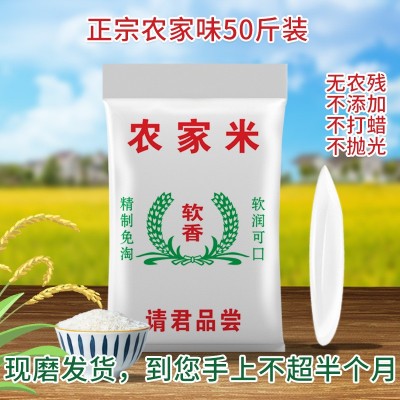 正宗广东农家米50斤煲仔饭专用20斤 晚稻长粒香大米新米25kg批发