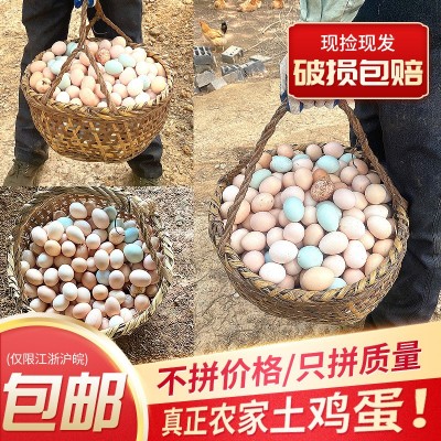 枞乡情 农家竹林散养新鲜土鸡蛋 小枞山林现捡鸡蛋 一件代发包邮