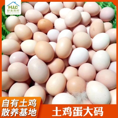 安徽土鸡蛋大码1斤10个左右 420枚整箱批发 新鲜农家草鸡蛋笨鸡蛋
