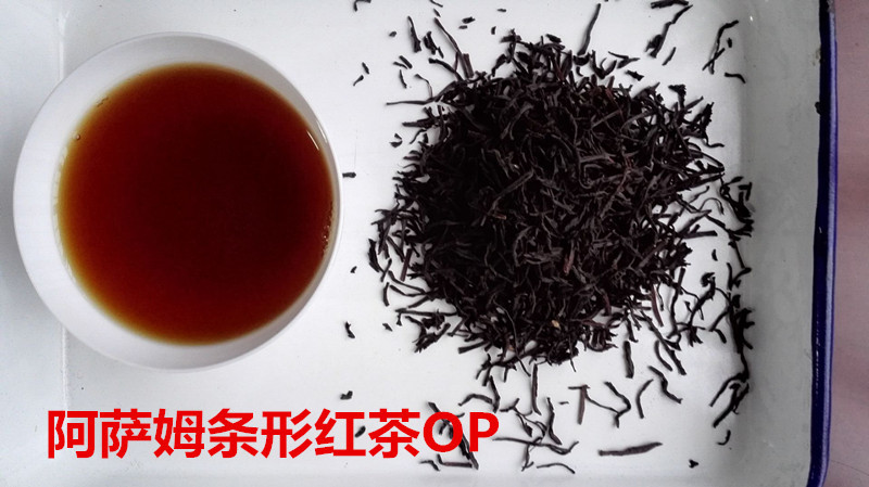 阿萨姆条形茶OP_副本