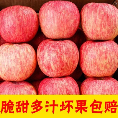 山西苹果红富士水果10/8/5斤装红富士非山东陕西阿克苏冰糖心批发