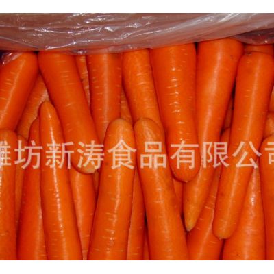 保鲜胡萝卜（出口）潍坊新涛食品（基地种植、厂家直供）