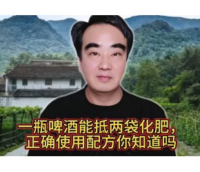 农业知识：一瓶啤酒能抵两袋化肥，它的正确使用配方你知道吗？