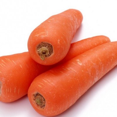 供应新鲜蔬菜 出口保鲜胡萝卜 carrot 胡萝卜 批发胡萝卜