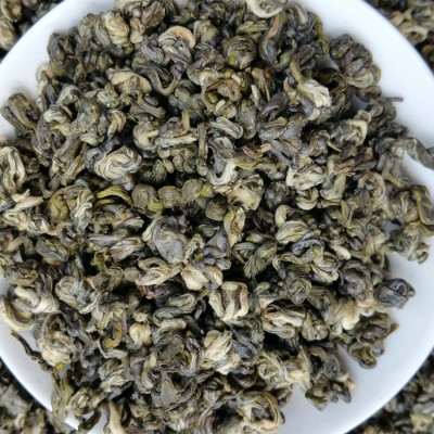 批发茶叶云南帝益普洱茶绿茶烘青生茶早春明前春茶叶碧螺春古树茶