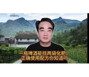 农业知识：一瓶啤酒能抵两袋化肥，它的正确使用配方你知道吗？