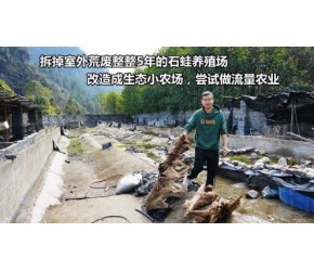 拆掉改建荒废整整5年的石蛙养殖场，尝试一直想做的流量农业模式