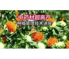 中药材超高产种植管理技术讲座 #农业技术早分享 #服务三农支持三农