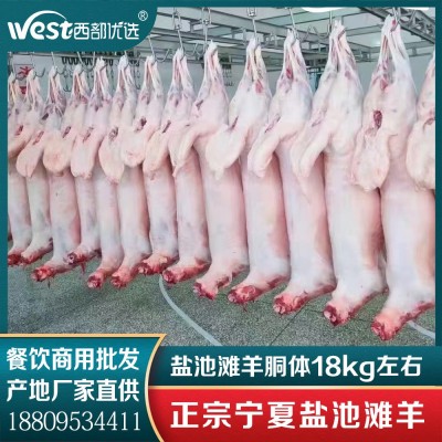 商用批发宁夏盐池滩羊绵羊胴体白条羊-火锅食材烧烤食材厂家直供