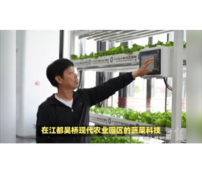 未来农业新篇章：植物工厂揭秘，智慧种植超乎想象